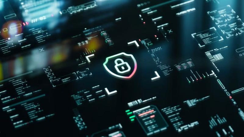 瑞丽市软件开发公司：提升客户业务参与度的 proven 策略